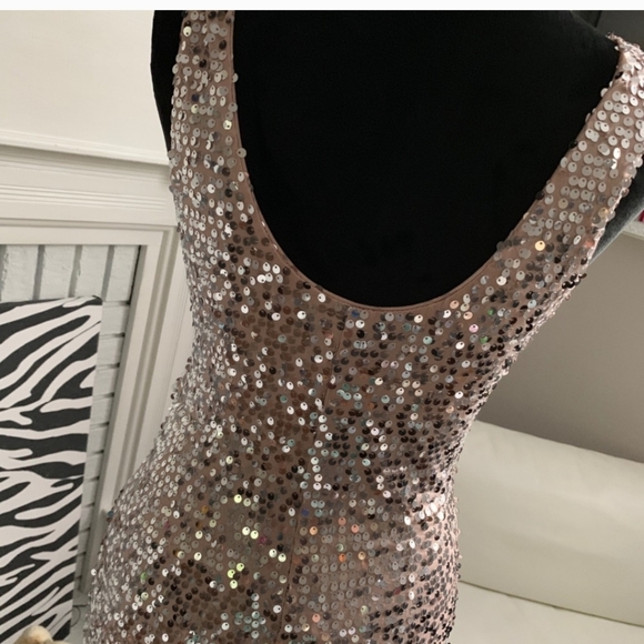 NWT Love Reign Sequin Taupe Dress, Sz Small - Picture 2 of 6